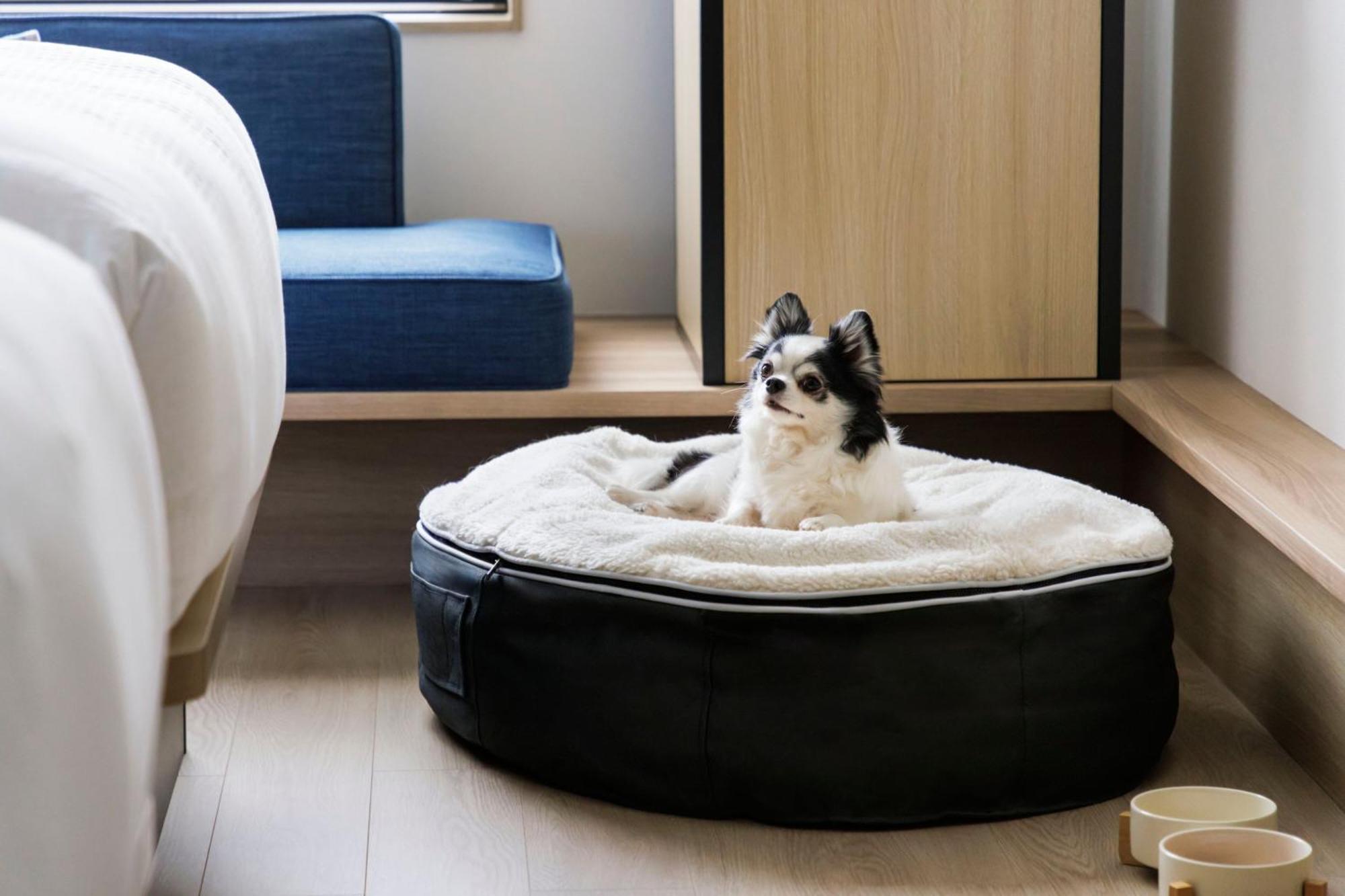 Отель Fairfield By Marriott Okayama Tsuyama Экстерьер фото